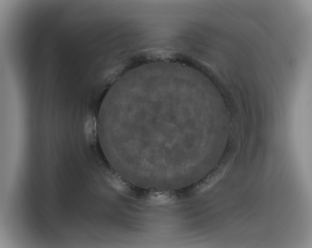 X0000115660624200911191006