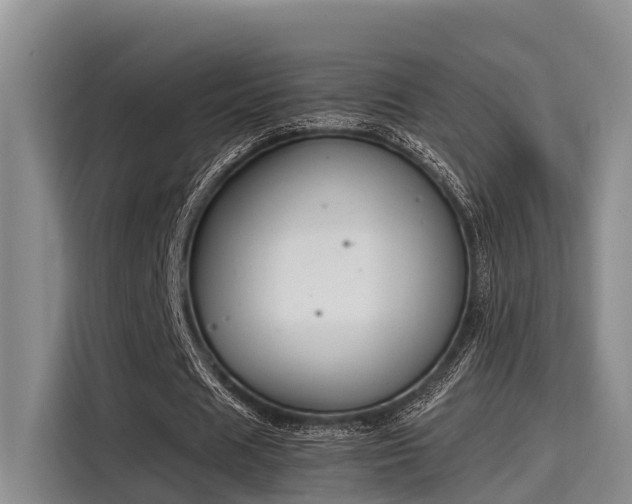 X0000115660625200911191006