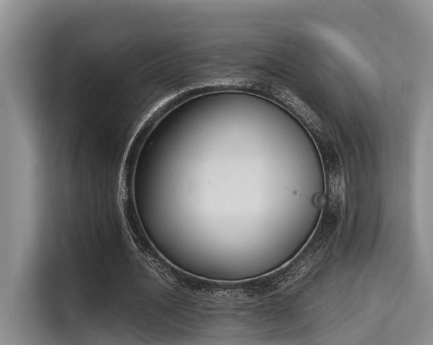 X0000115660628200911191006