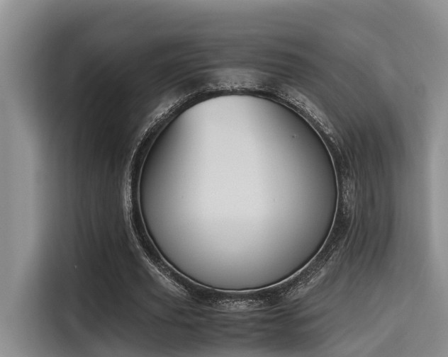 X0000115660629200911191006