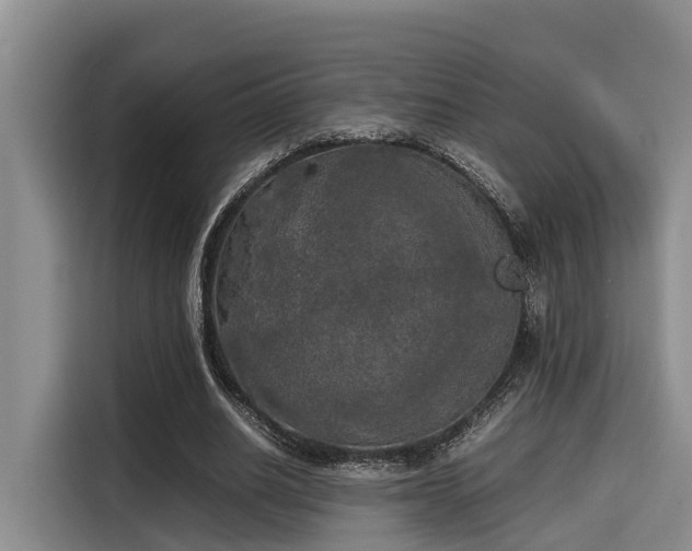 X0000115660630200911191006
