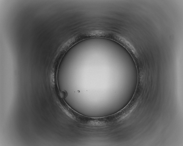 X0000115660633200911191006
