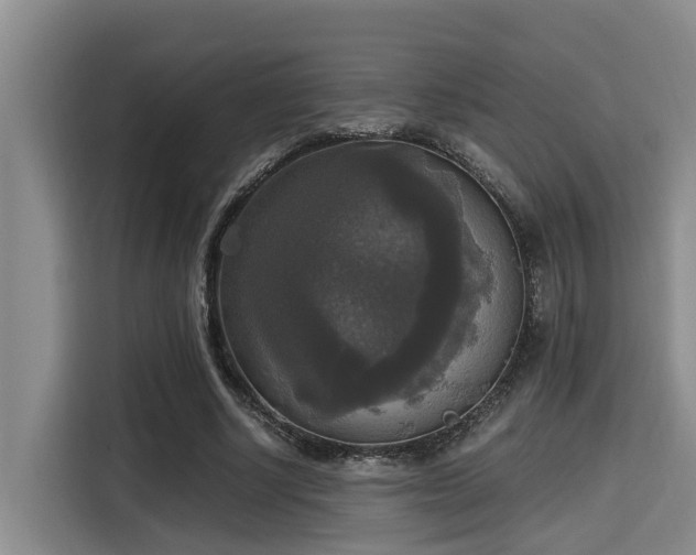 X0000115660634200911191006