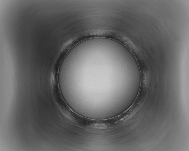 X0000115660636200911191006