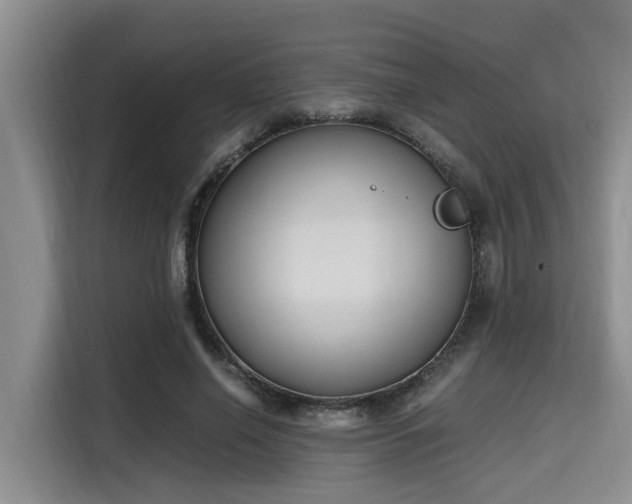X0000115660638200911191006