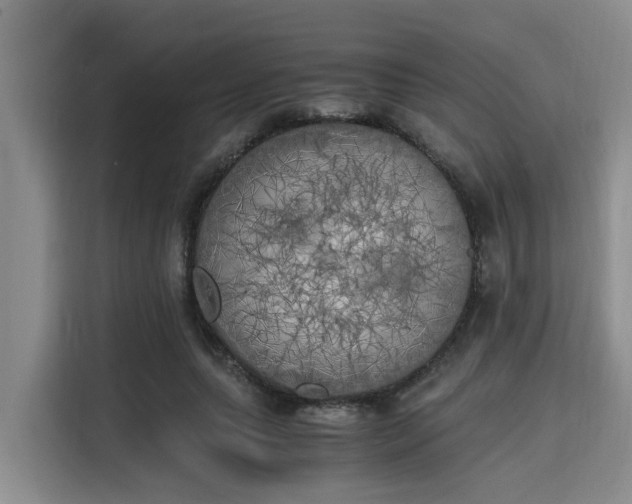 X0000115660639200911191006