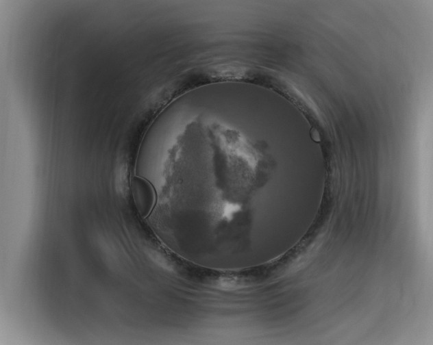 X0000115660641200911191006