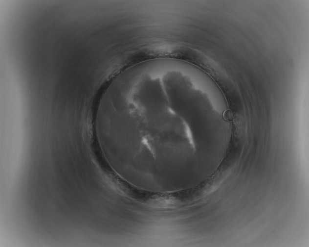 X0000115660642200911191006