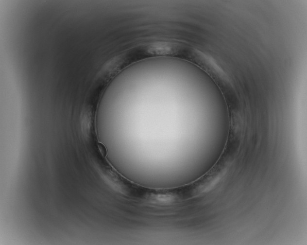X0000115660645200911191006