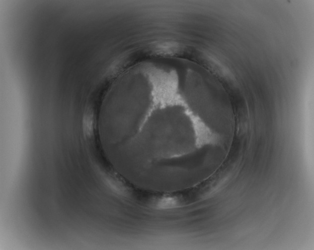 X0000115660647200911191006