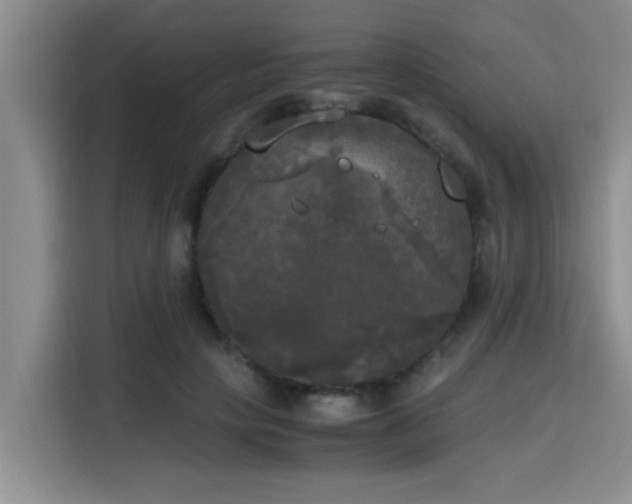X0000115660649200911191006
