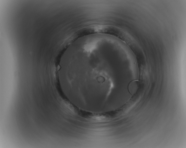 X0000115660650200911191006