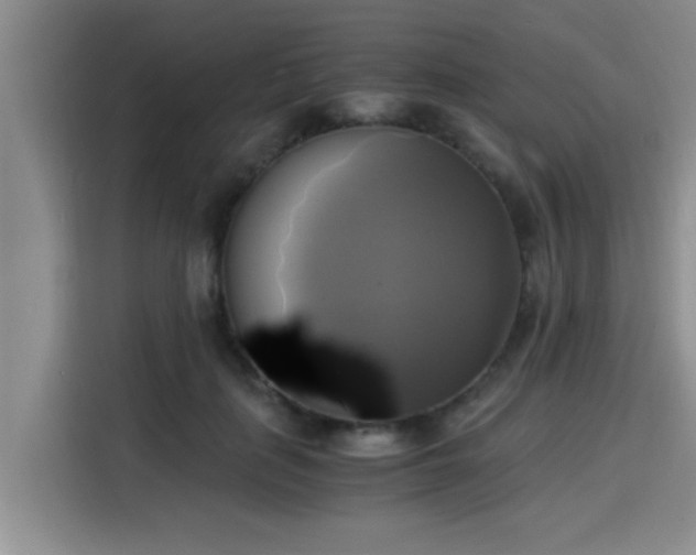 X0000115660651200911191006