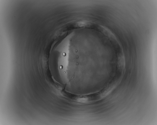 X0000115660653200911191006