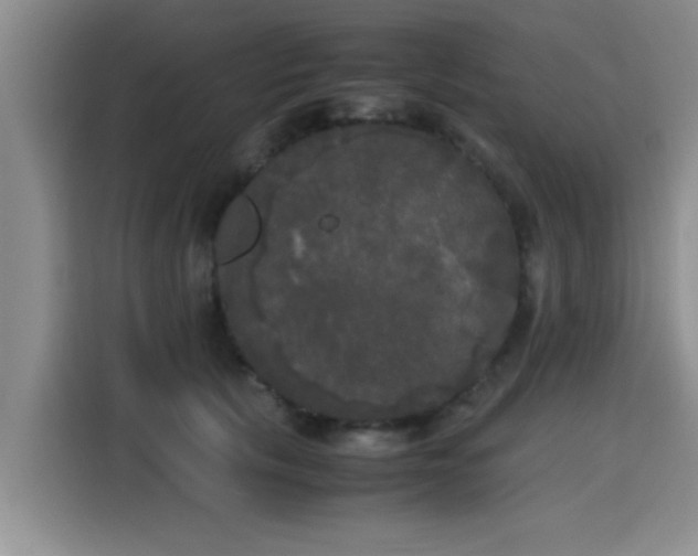 X0000115660657200911191006