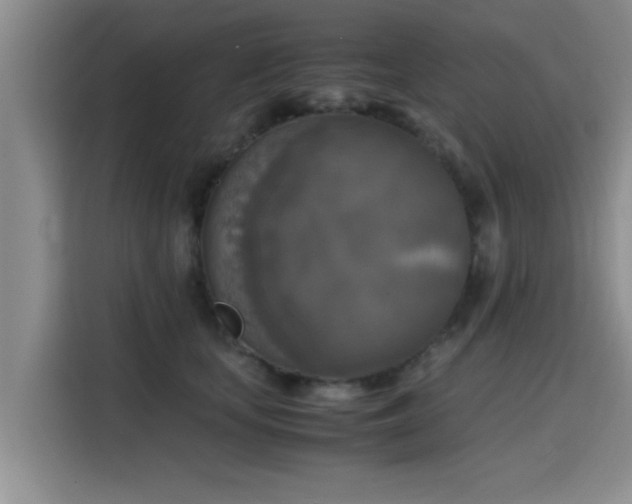 X0000115660659200911191006