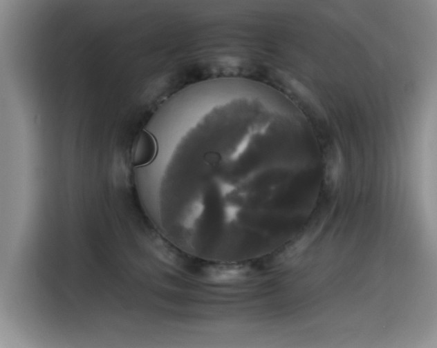X0000115660661200911191006