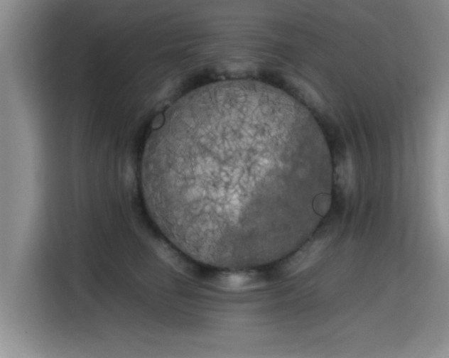 X0000115660662200911191006