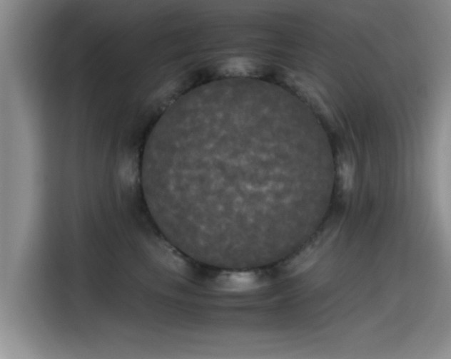X0000115660665200911191006
