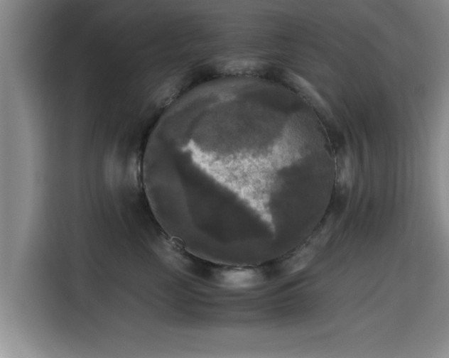 X0000115660669200911191006