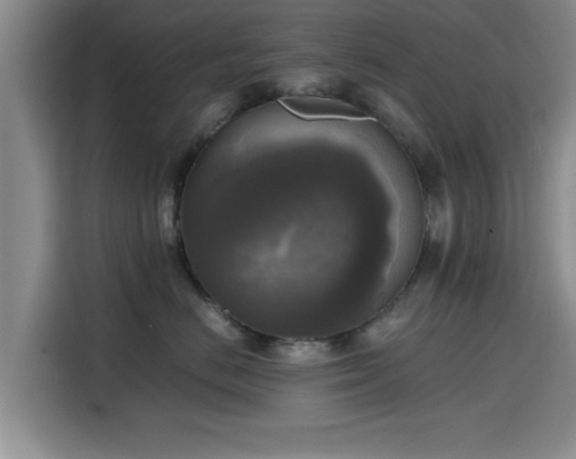 X0000115660670200911191006