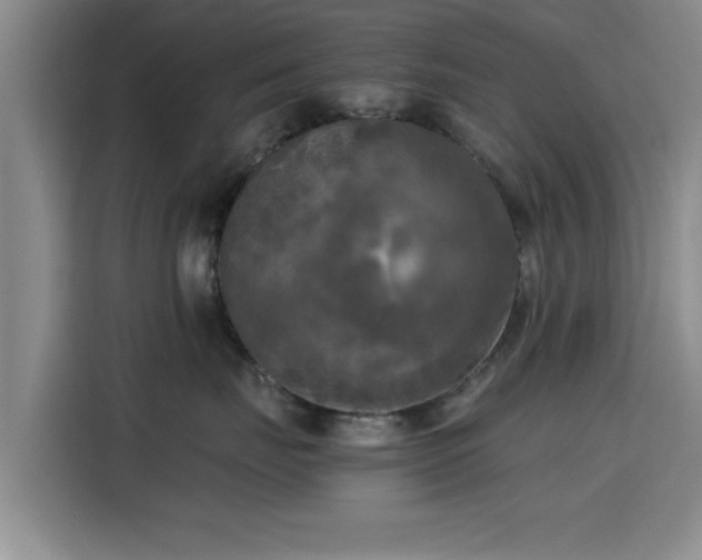 X0000115660671200911191006