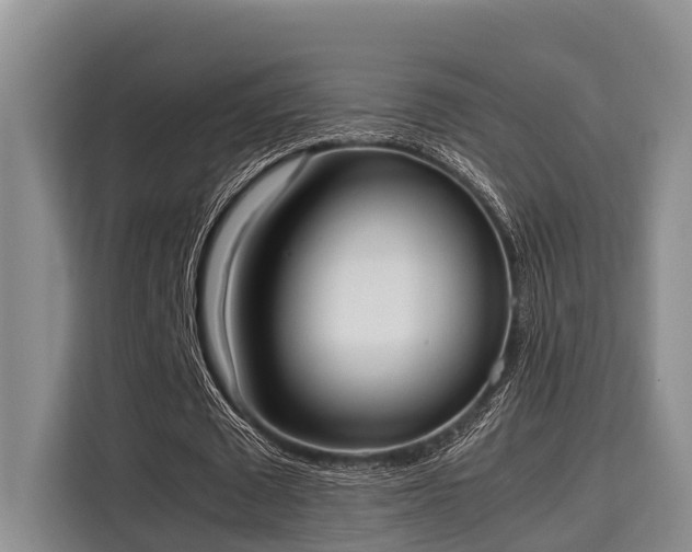 X0000115660673200911191006