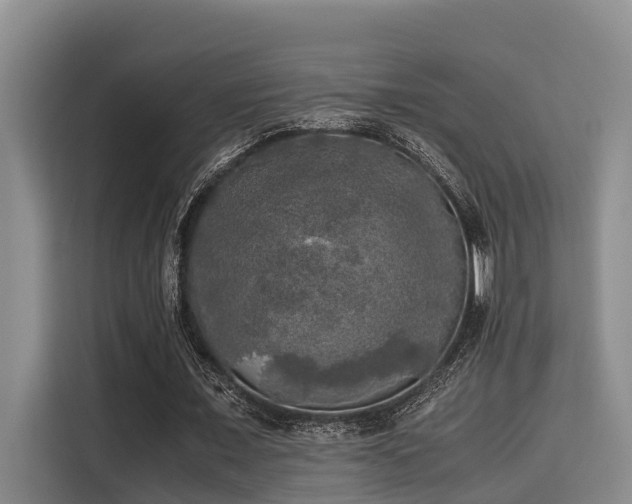 X0000115660675200911191006