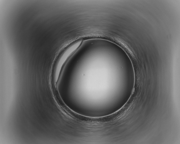 X0000115660677200911191006