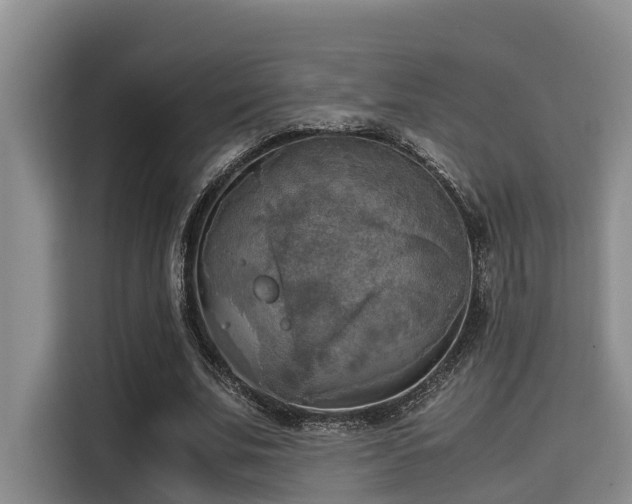 X0000115660679200911191006