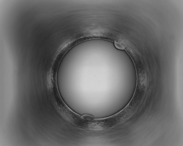 X0000115660680200911191006