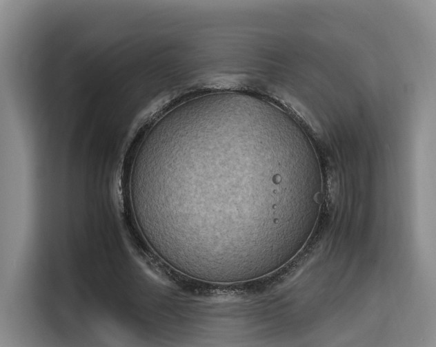 X0000115660682200911191006
