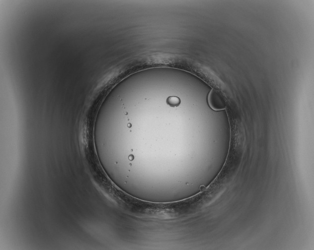 X0000115660683200911191006
