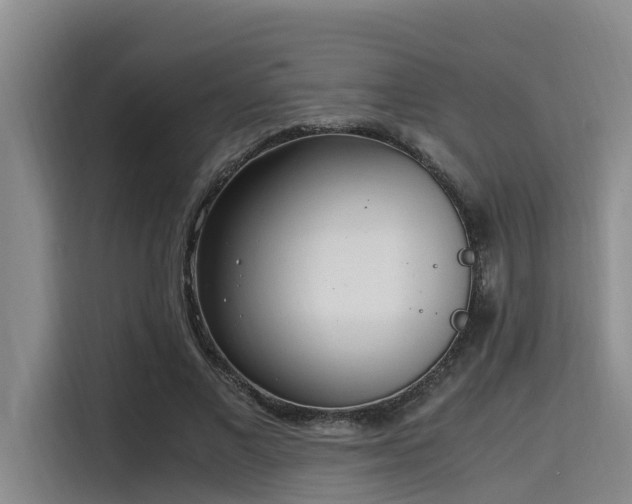 X0000115660685200911191006