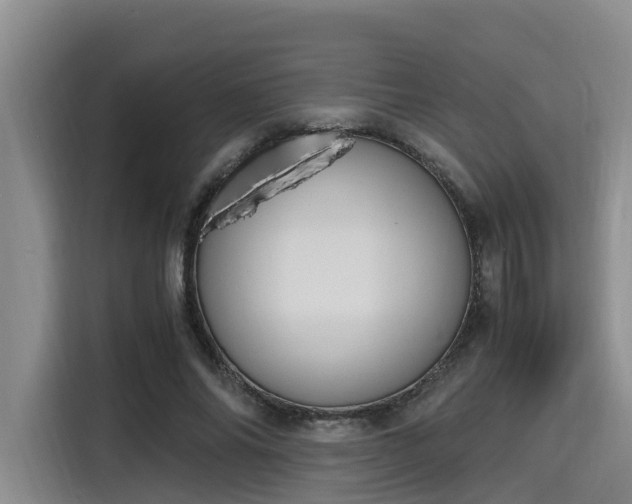X0000115660686200911191006