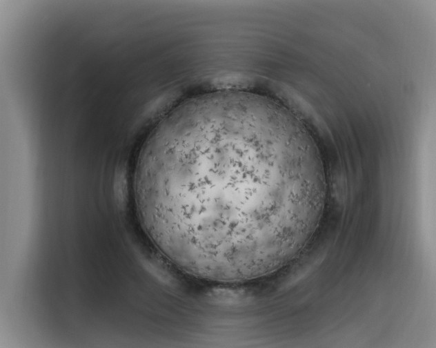 X0000115660690200911191005