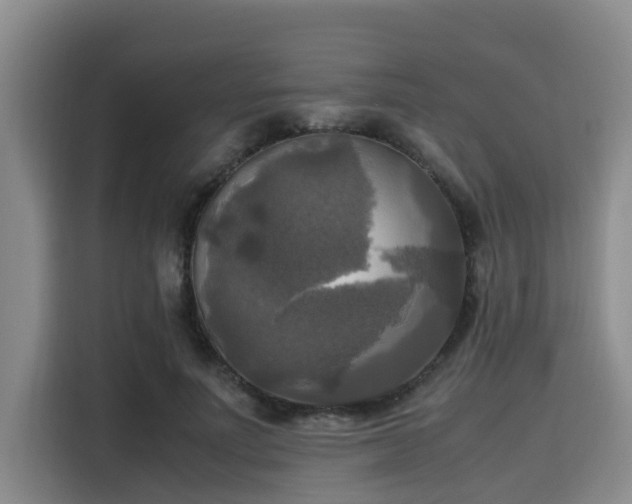X0000115660691200911191005