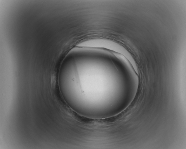 X0000115660697200911191005
