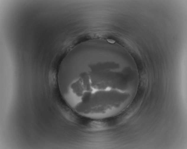 X0000115660699200911191005