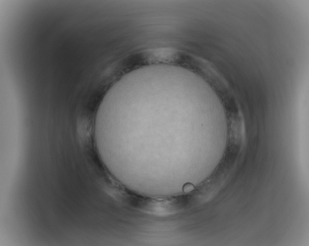 X0000115660701200911191005
