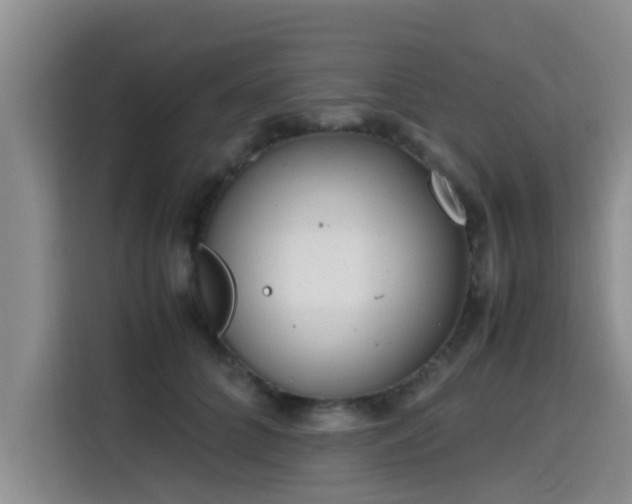 X0000115660704200911191005