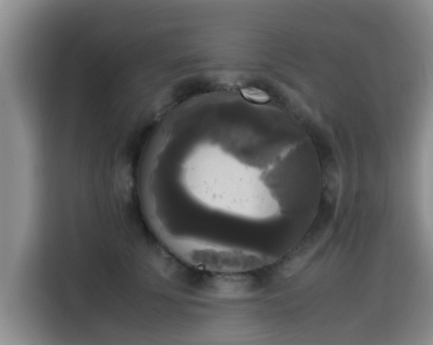 X0000115660707200911191005