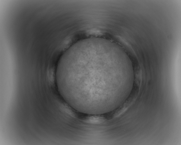 X0000115660708200911191005