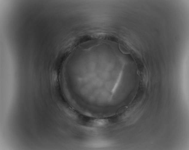 X0000115660711200911191005