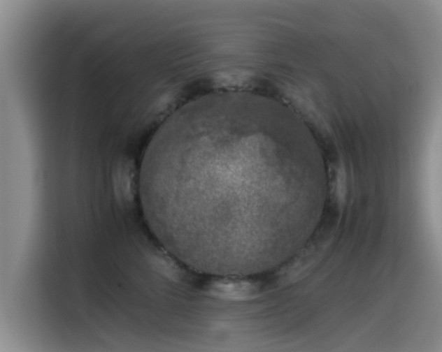 X0000115660712200911191005