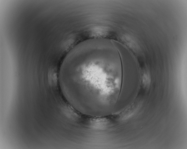 X0000115660716200911191005