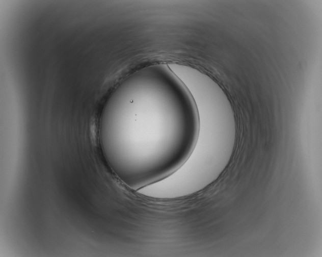 X0000115660720200911191005