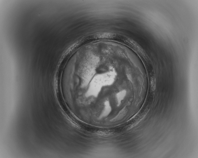 X0000115660725200911191004