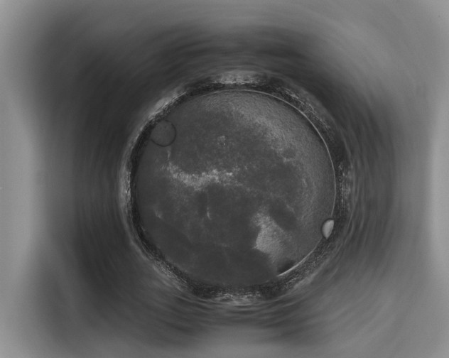 X0000115660727200911191004