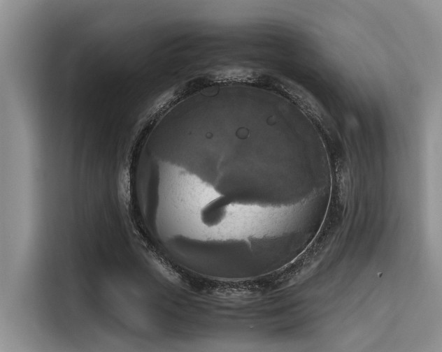 X0000115660729200911191004